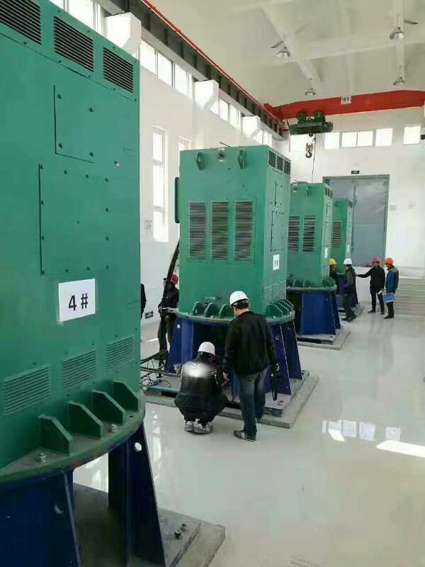 万冲镇某污水处理厂使用我厂的立式高压电机安装现场